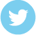 Twitter icon
